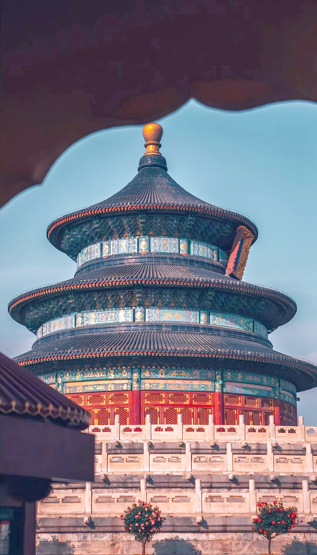 北京市中考体育科目免费算分工具